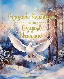 Kerstkaarten 9527